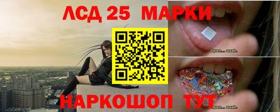 стаф Будённовск