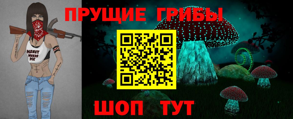 Псилоцибиновые грибы прущие грибы Минеральные Воды